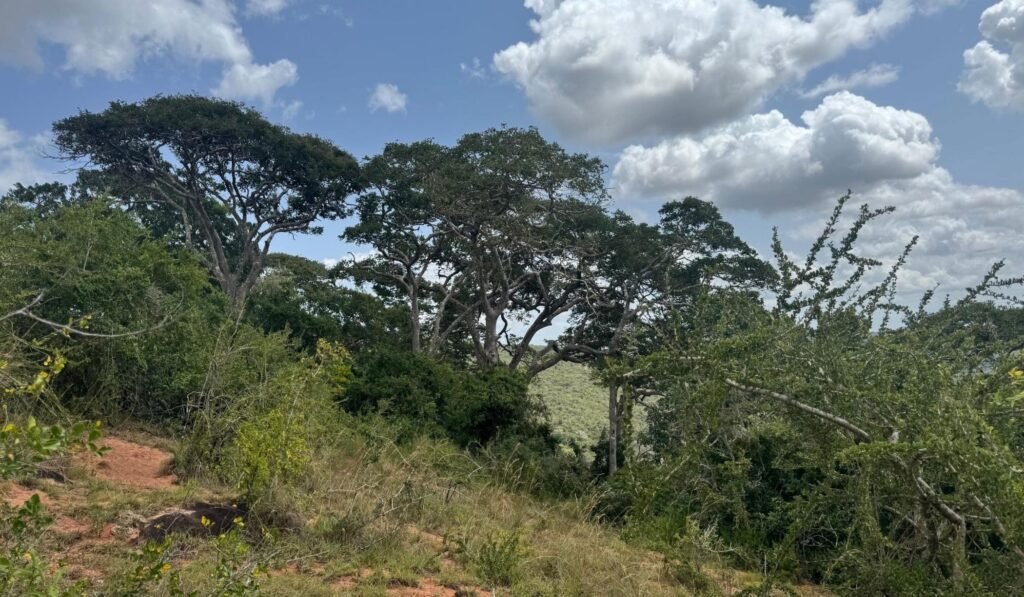 Imgi 31 709 b70bfd53c1b1495da8a663cefe196e9d