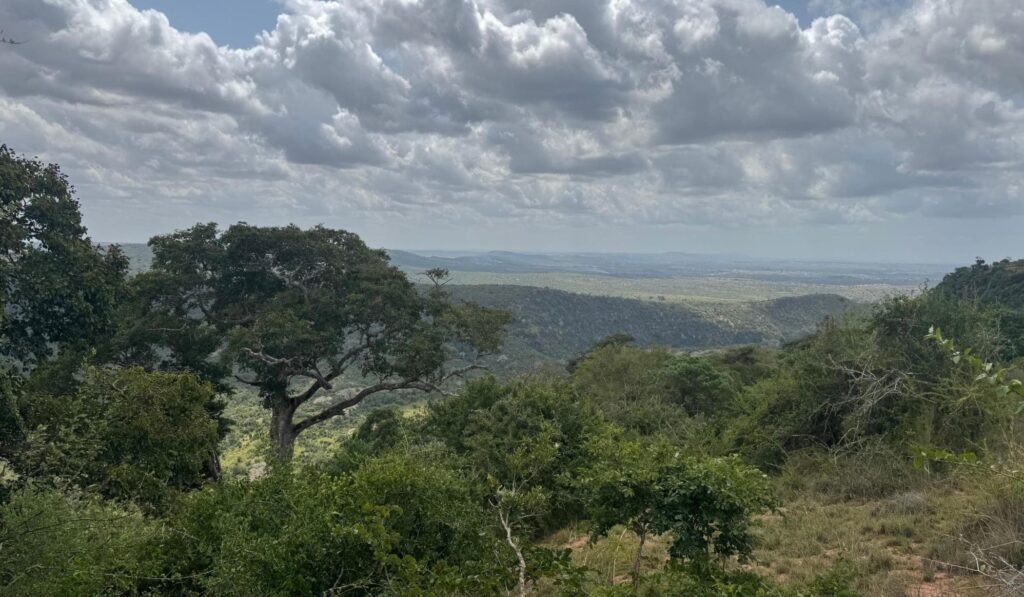 Imgi 32 709 f42000afde144d5e9bb6a37cbcd7416e