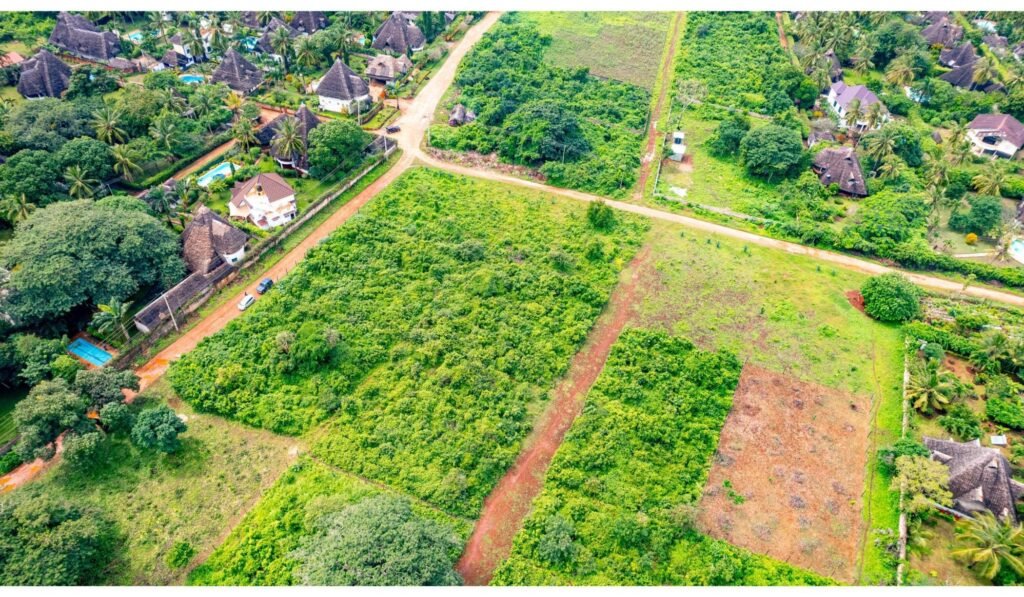 Imgi 34 709 555c689b6efb4284a7336a139893a934