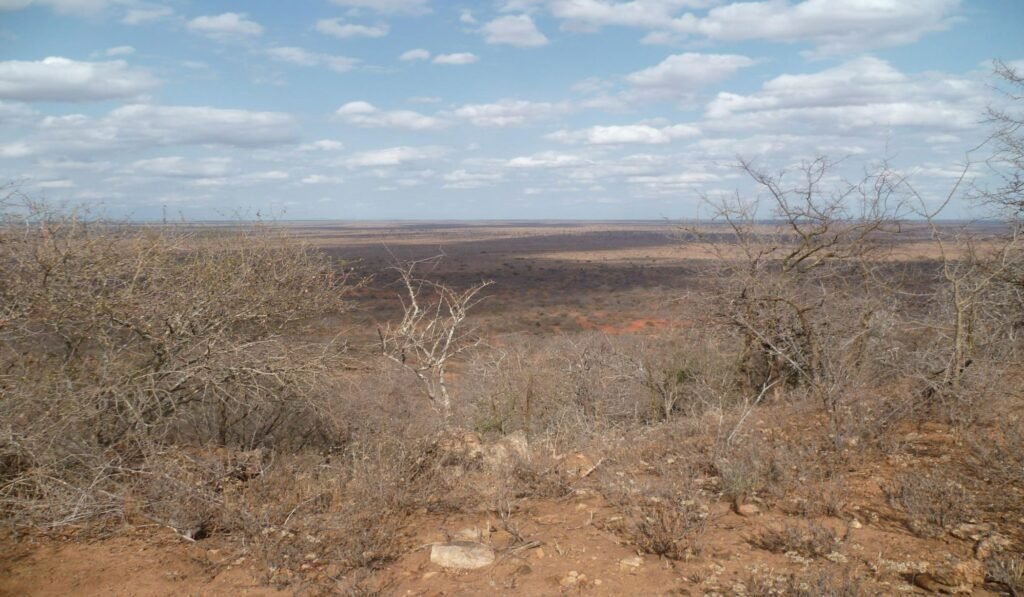 Imgi 37 709 84370129ec90414a98bef8d98c7f05b4