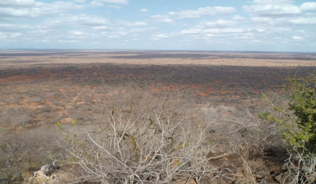 Imgi 38 709 f432ddb40c054a8ba80622f16a2c19bc