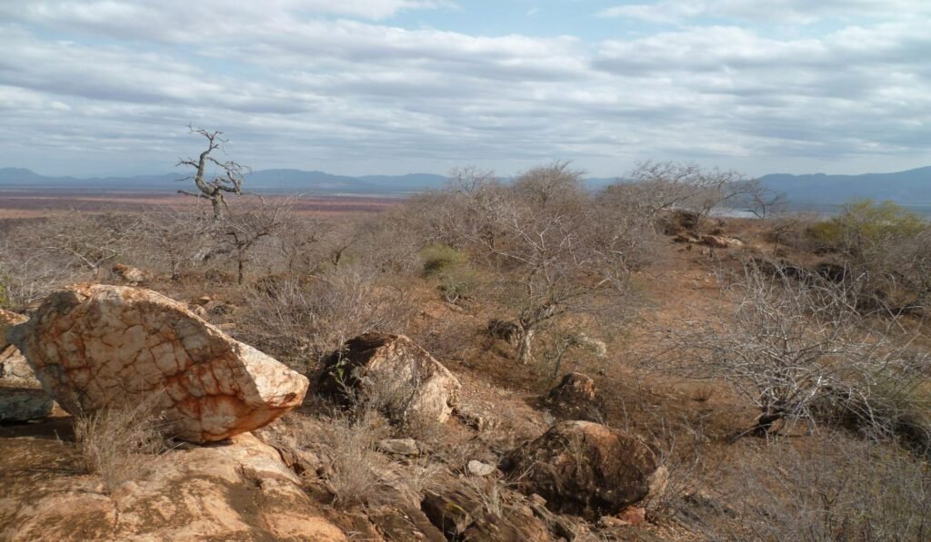 Imgi 39 709 3333794ac8cc4566ad9b5288a5ff2374