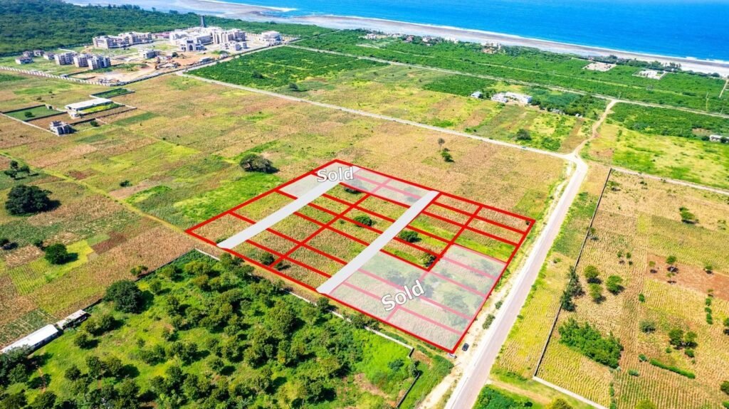 Imgi 3 709 8e8557de187e47ae8a2e4137b314357a t w 1440 h