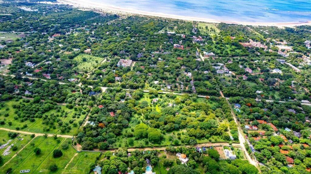 Imgi 8 709 34c9d9827ff94120b1c65fee8e378ca3 t w 1440 h