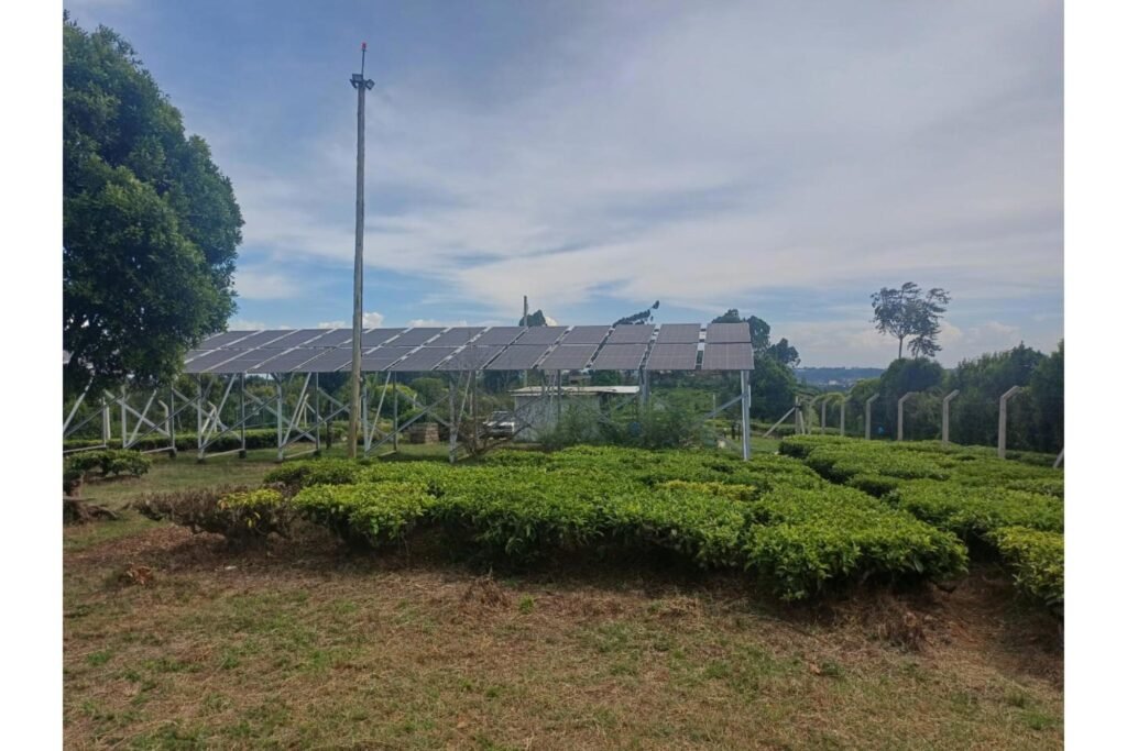 Imgi 9 709 02eb52c30e994a0ea2235b3c77f4dca1